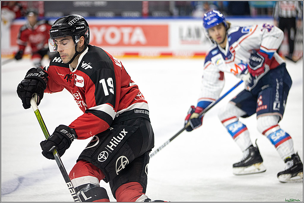 PENNY DEL; Koelner Haie- Adler Mannheim; Koeln, 02.01.2022